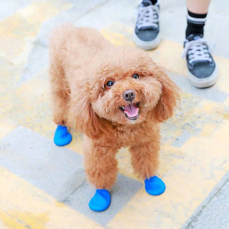 Waterproof Dog Booties with Traction and Cozy Protection