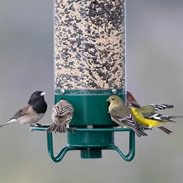 Wild Bird Feeder with Squirrel Deterrent Tray - Fesara