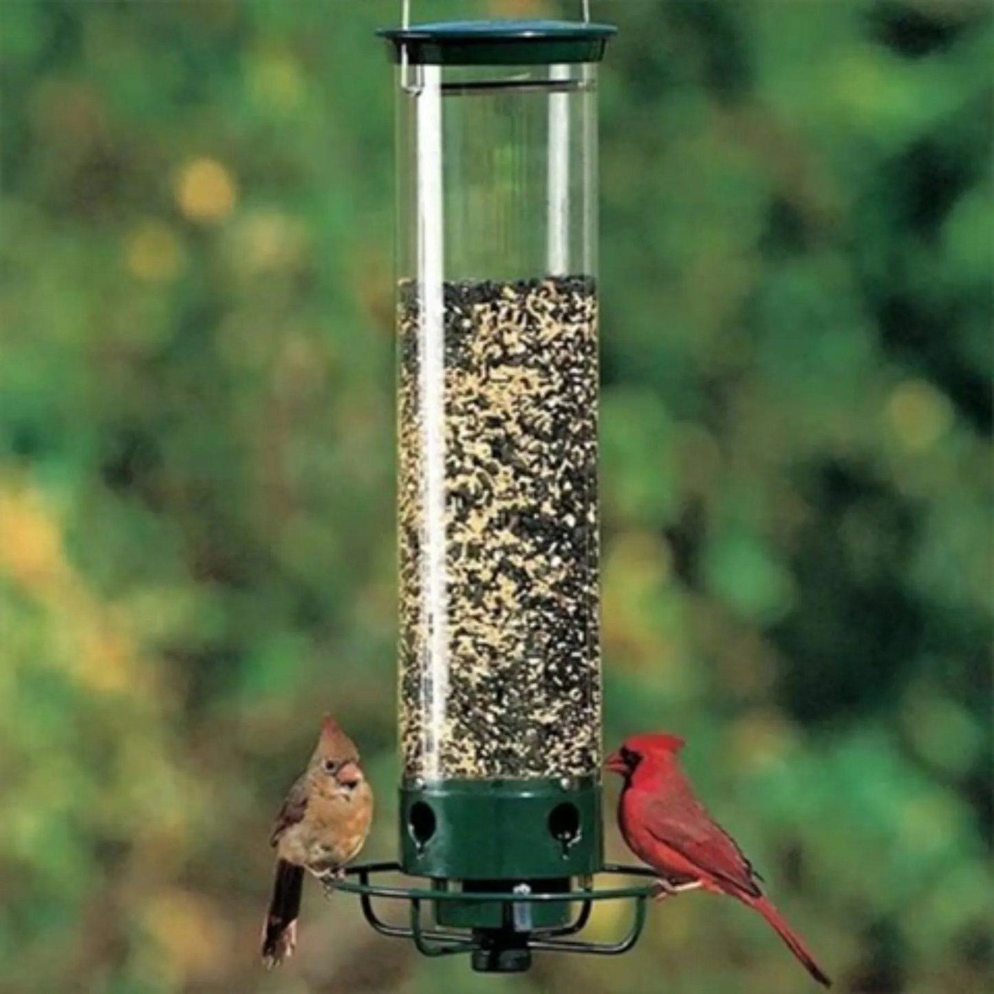 Wild Bird Feeder with Squirrel Deterrent Tray