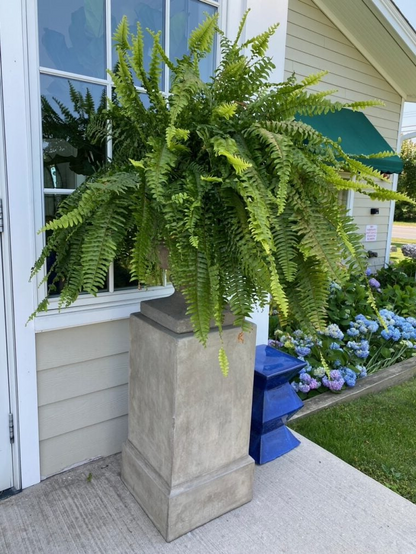 Durable Outdoor Artificial Fern Plant