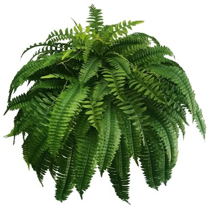 Durable Outdoor Artificial Boston Fern Plant