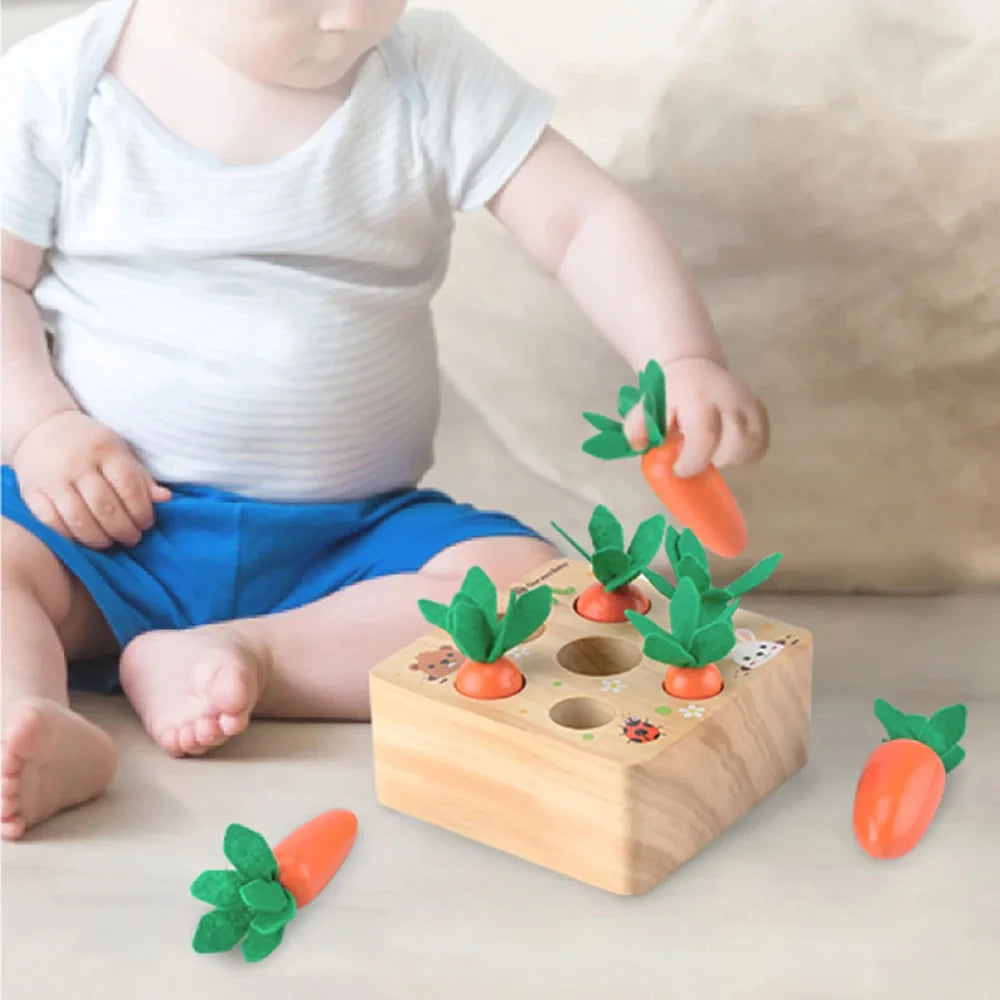 Educational Wooden Montessori Toy for Kids