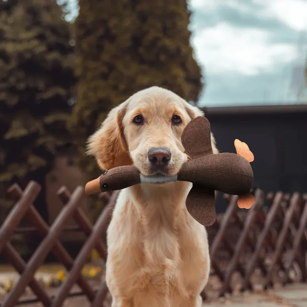 Durable Interactive Duck Pet Toy – Tough Dog Chew Toy for Safe Play and Endless Fun, 12 Inches Long-3