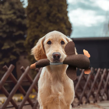 Durable Interactive Duck Pet Toy – Tough Dog Chew Toy for Safe Play and Endless Fun, 12 Inches Long-3