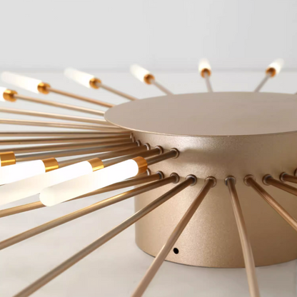 Stylish LED Chandelier Light Fixture