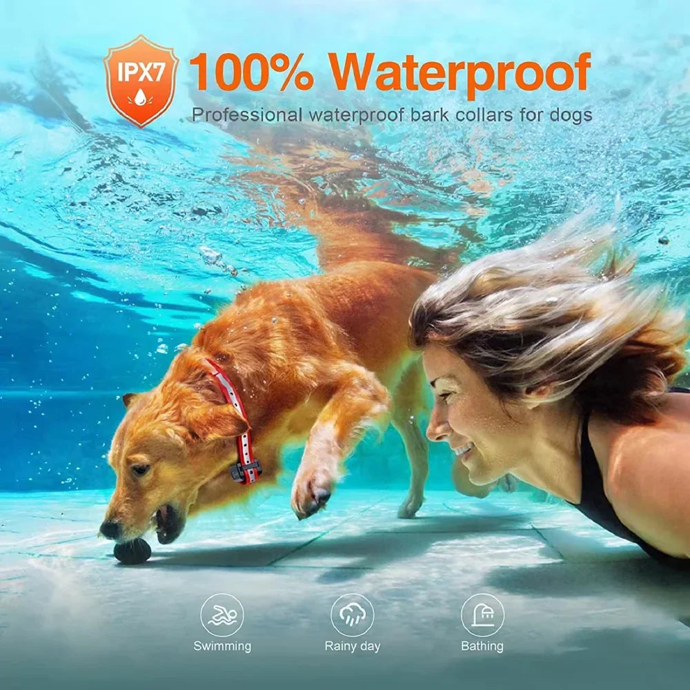 Waterproof Remote Dog Training Collar with 3 Functions
