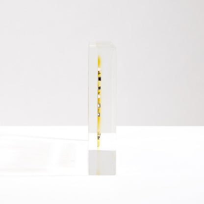 Science Element Table Display Board