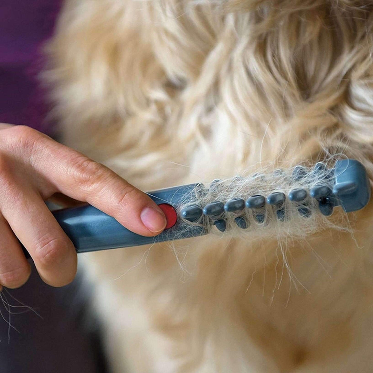 Easy Pet Grooming Brush for Dogs and Cats