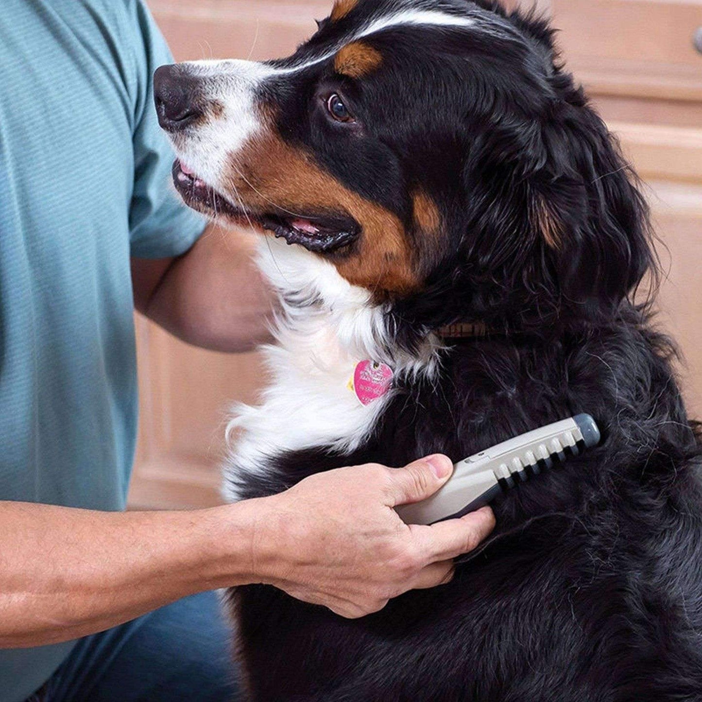 Easy Pet Grooming Brush for Dogs and Cats
