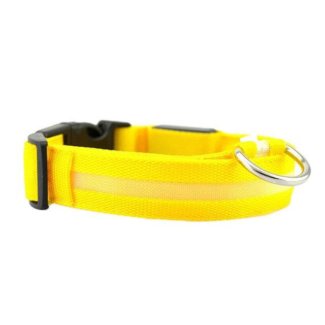 Bright LED Pet Safety Collar