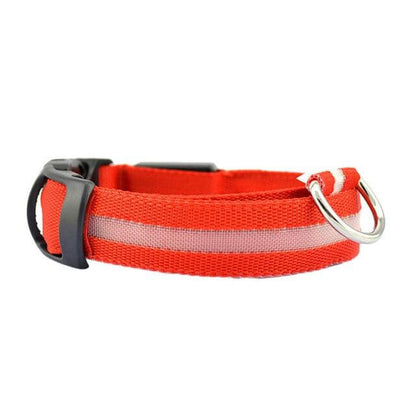 Bright LED Pet Safety Collar