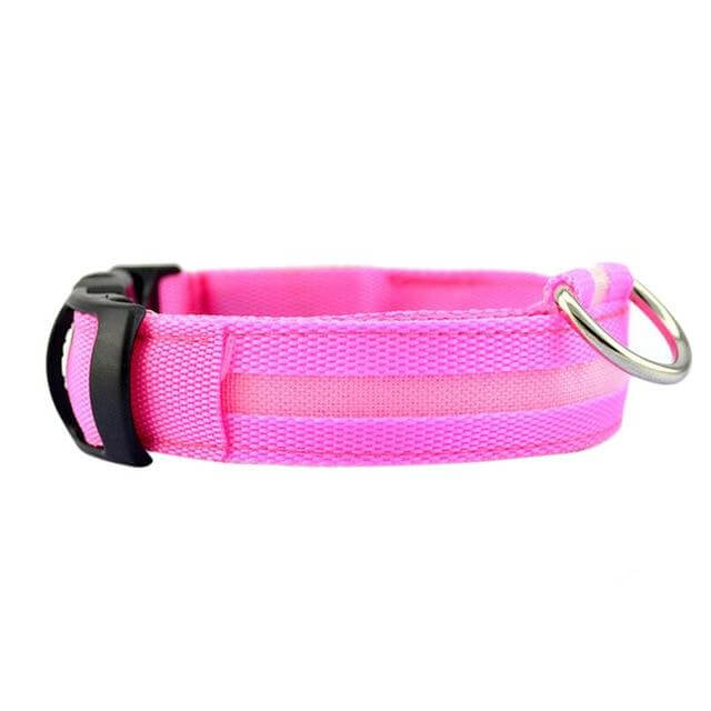 Bright LED Pet Safety Collar