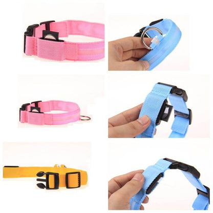 Bright LED Pet Safety Collar