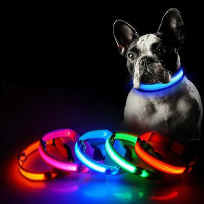 Bright LED Pet Safety Collar