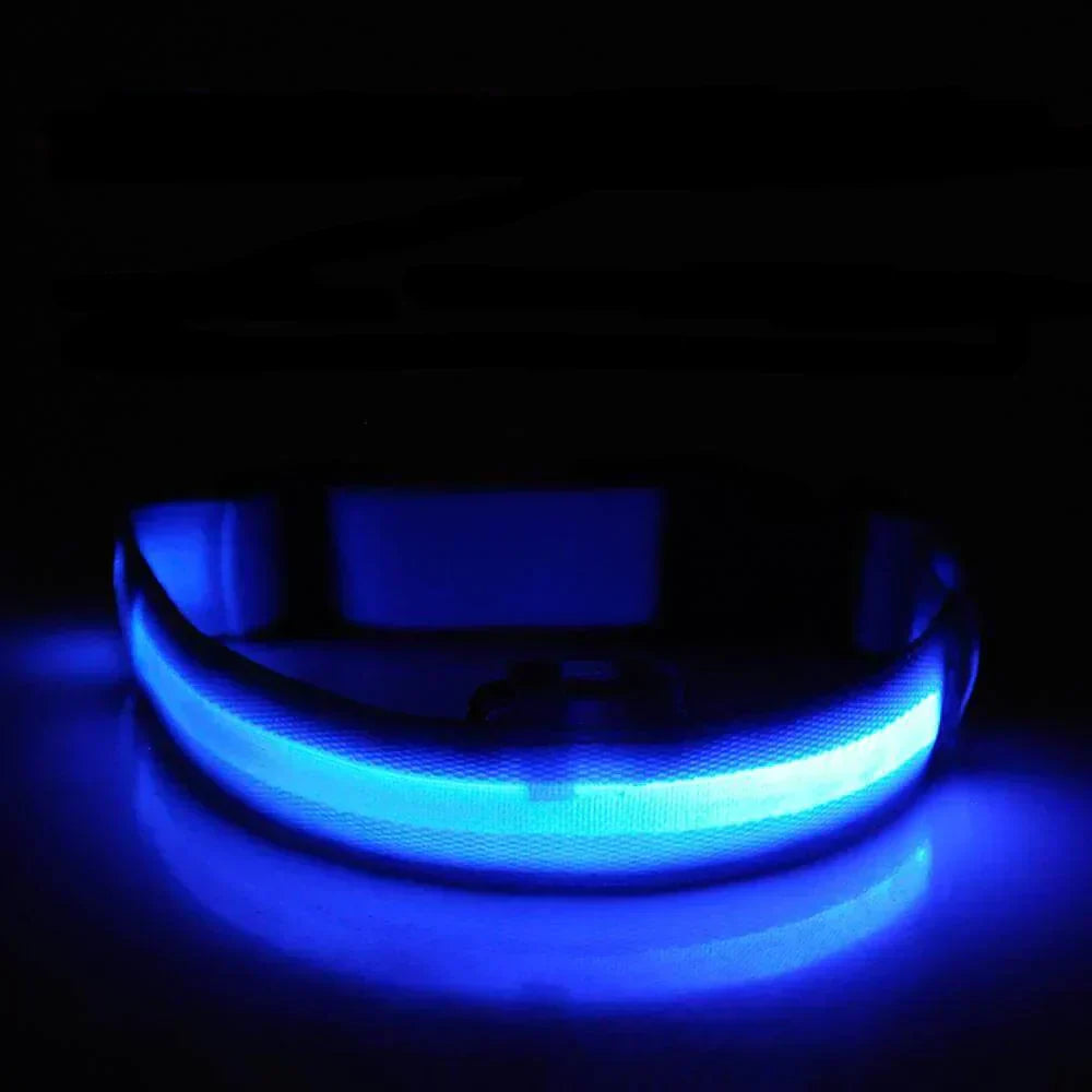 Bright LED Pet Safety Collar