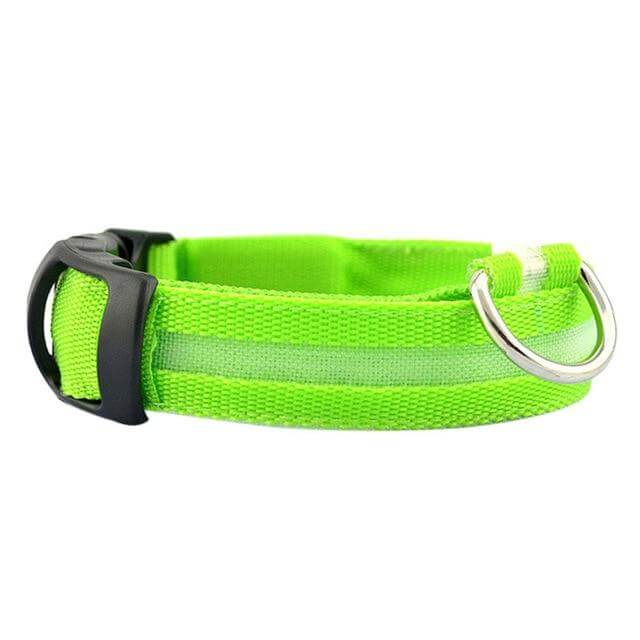 Bright LED Pet Safety Collar