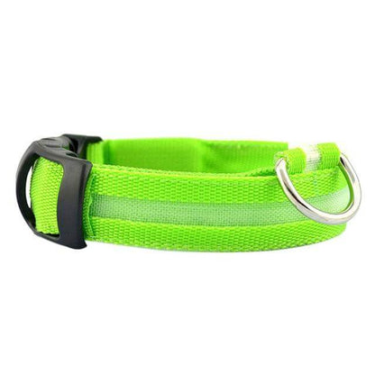 Bright LED Pet Safety Collar
