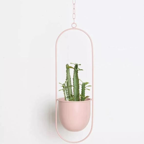 Modern Plant Hangers for Home Decor