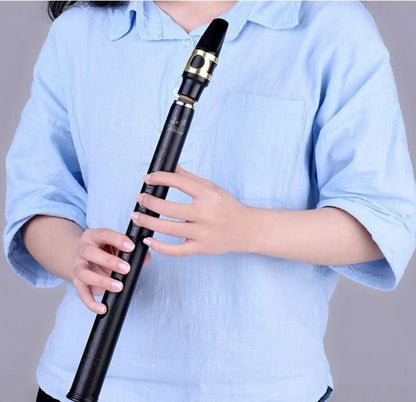 Compact Travel Saxophone Kit