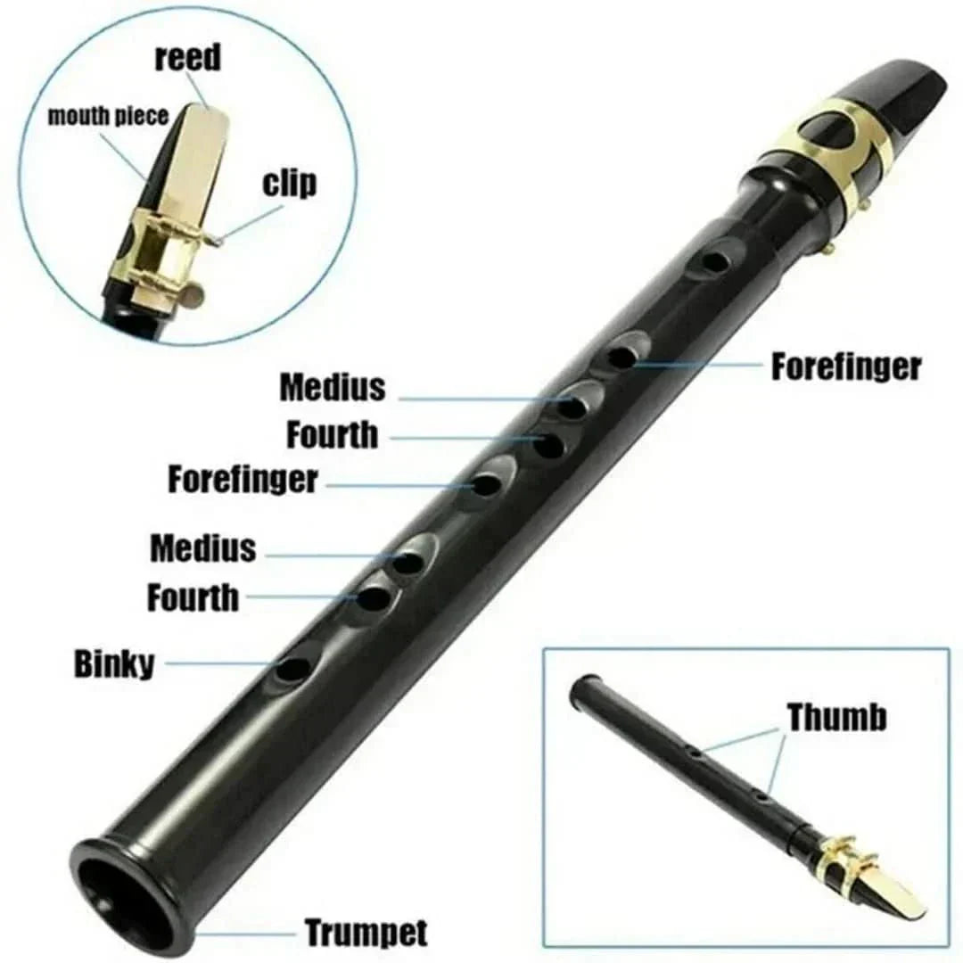 Compact Travel Saxophone Kit