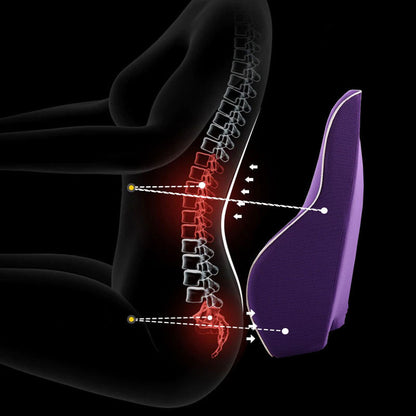 Ergonomic Back Support Cushion for Cars & Offices