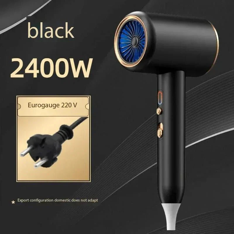 Powerful 2400W Ionic Fast Hair Dryer for Sleek Styling