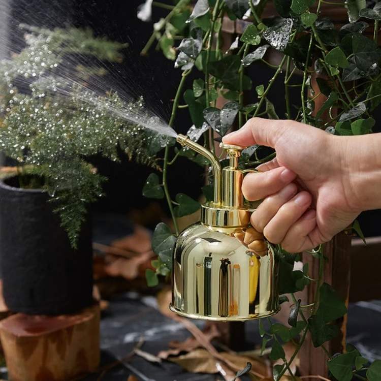 Fine Mist Spray Bottle for Plants - Fesara