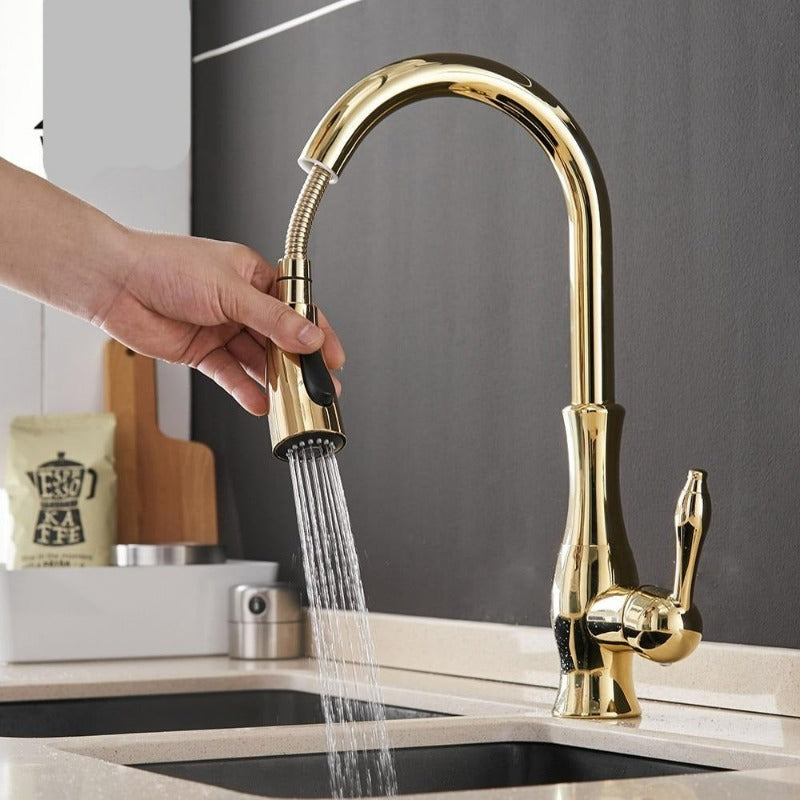 Premium Retractable Kitchen Sink Faucet