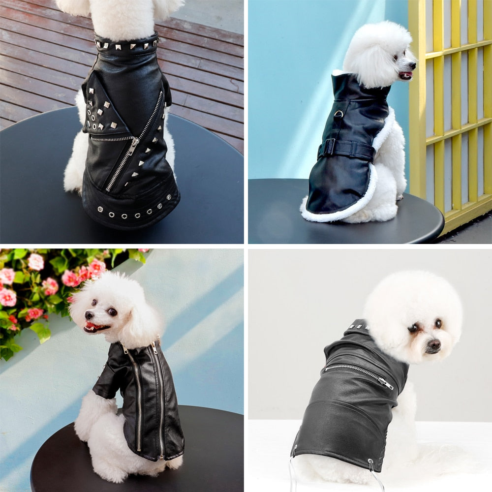 Stylish Faux Leather Dog Coat - Fesara