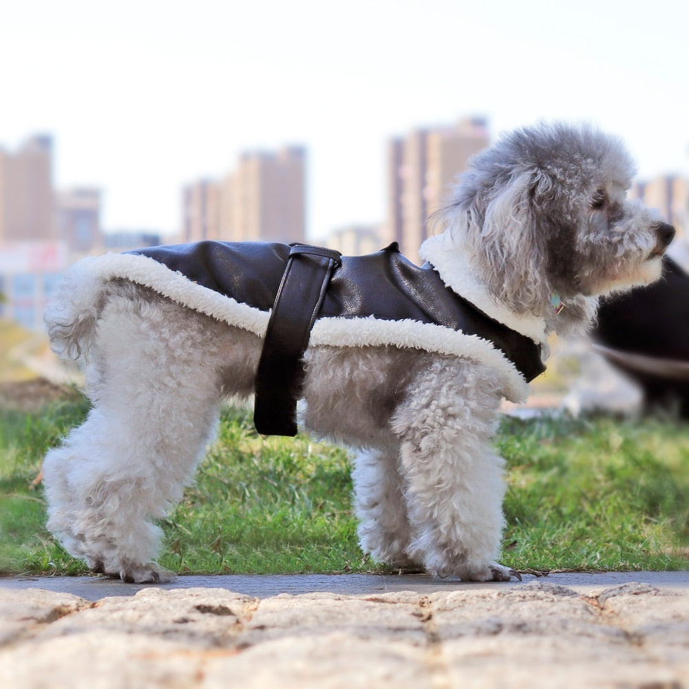 Stylish Faux Leather Dog Coat