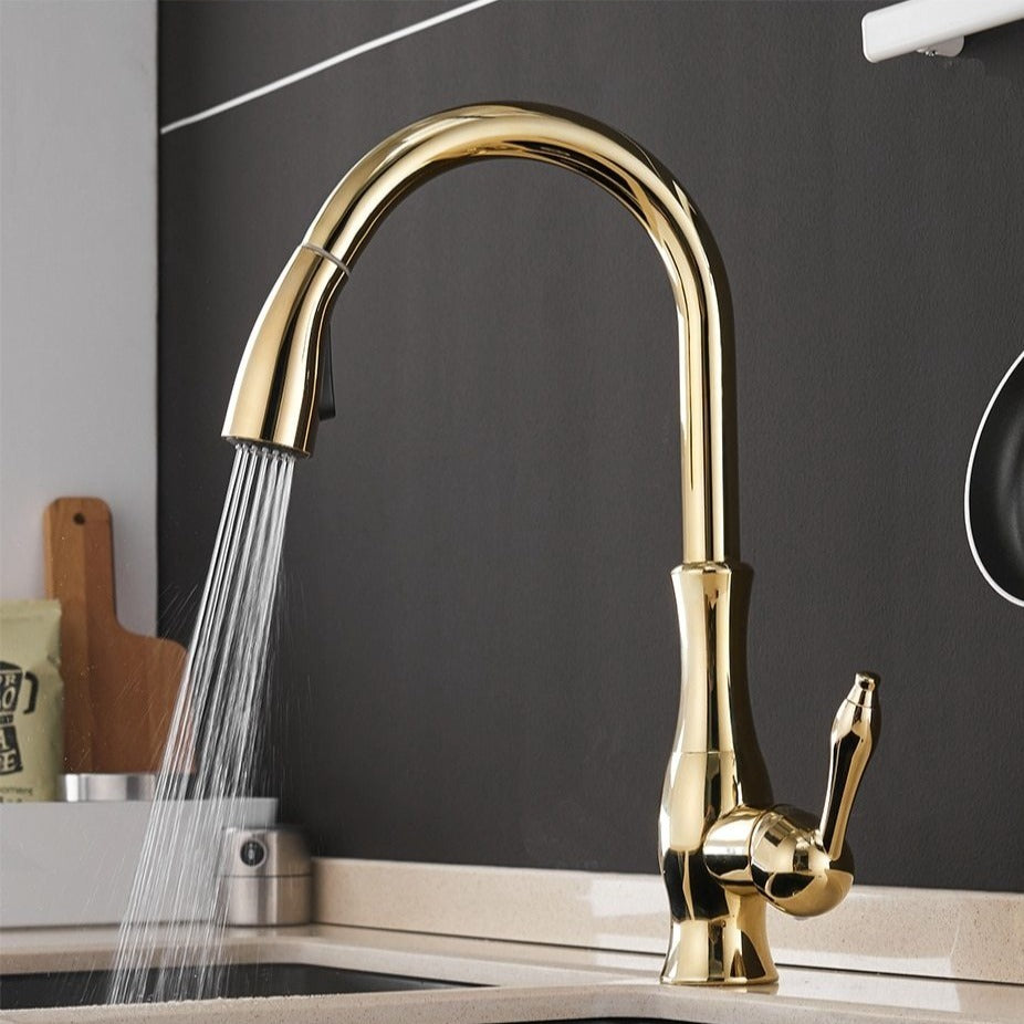 Premium Retractable Kitchen Sink Faucet