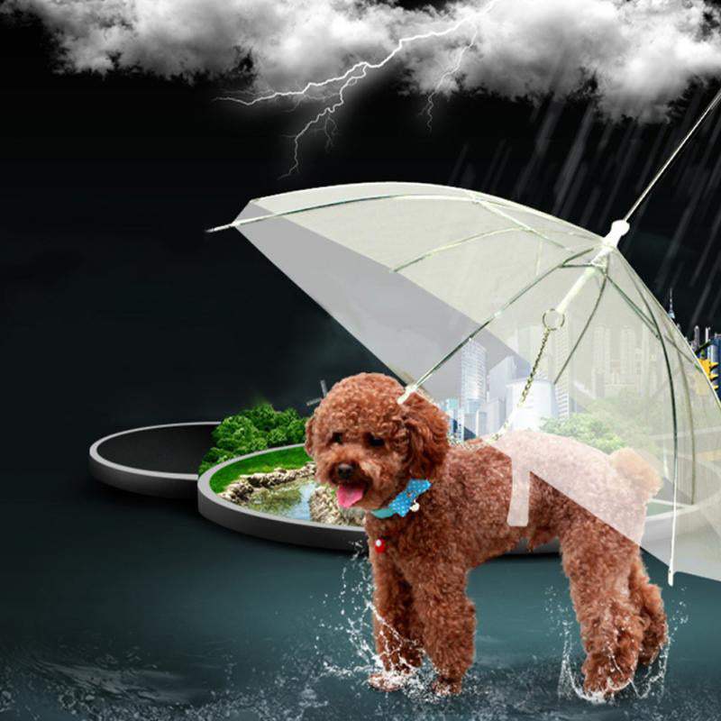 Colorful Pet Friendly Clear Rain Umbrella - Fesara