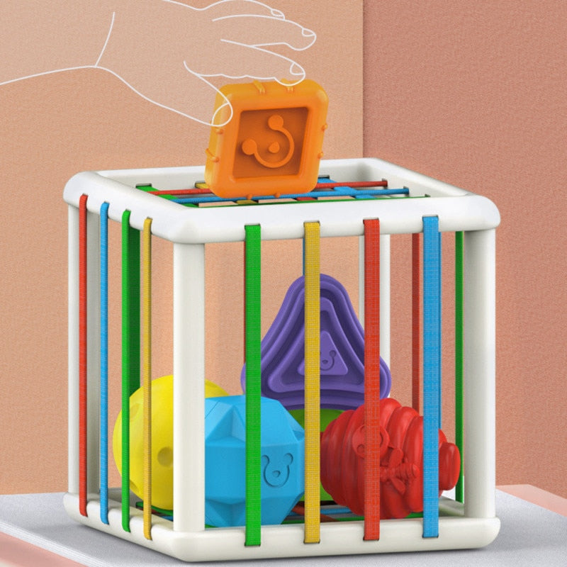 Colorful Kids Building Blocks
