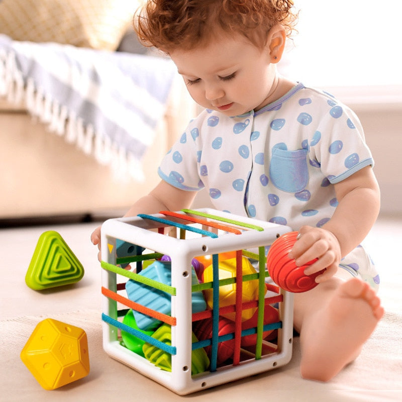 Colorful Kids Building Blocks
