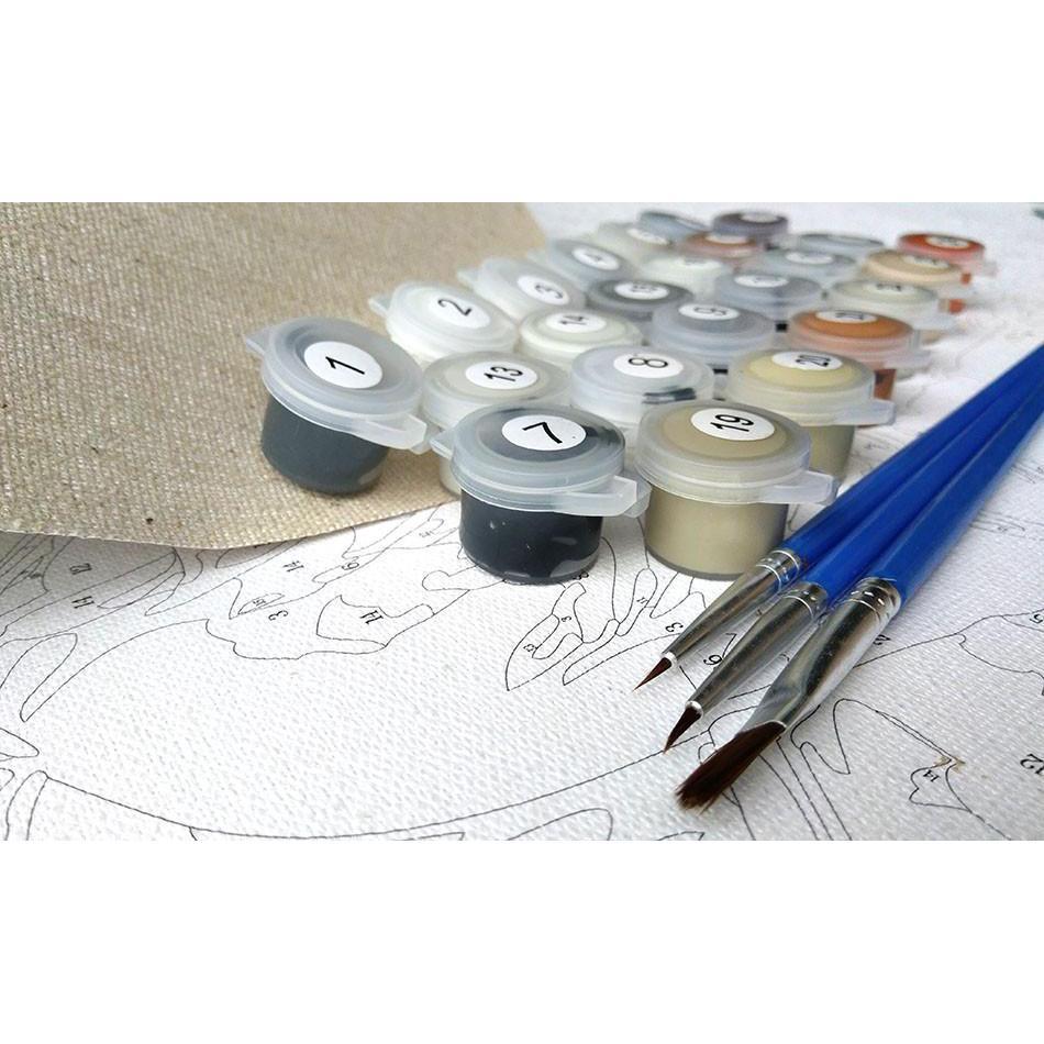 Beautiful Flowers Paint By Numbers Art Kit