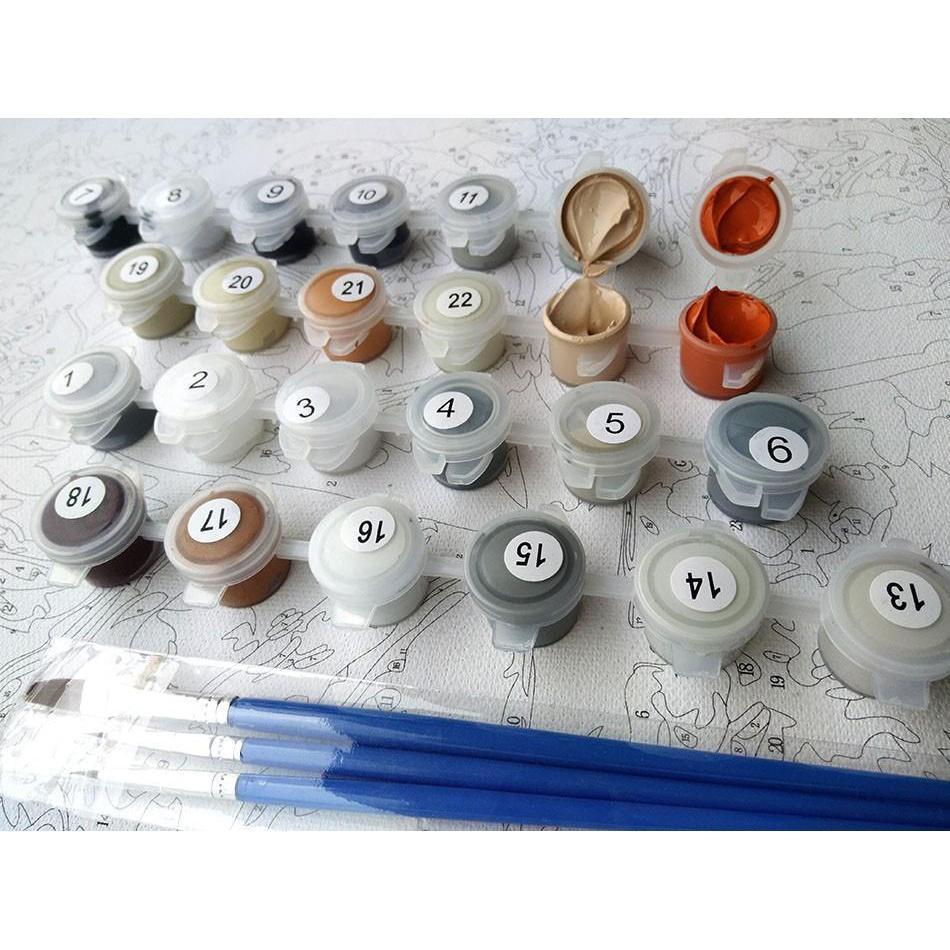 Beautiful Flowers Paint By Numbers Art Kit