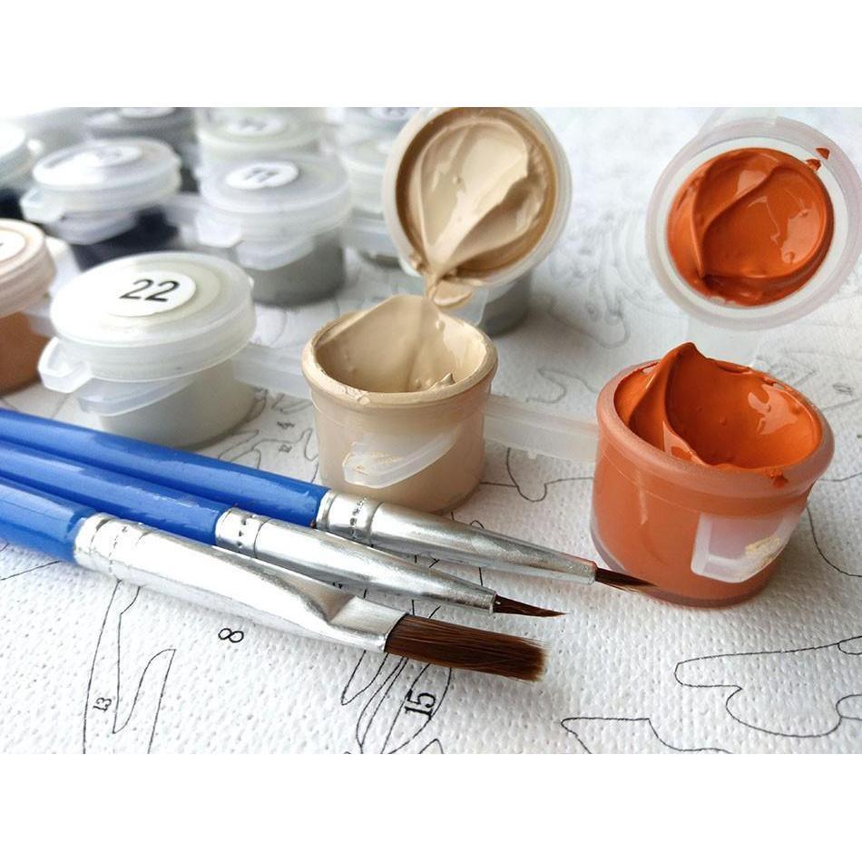 Beautiful Flowers Paint By Numbers Art Kit