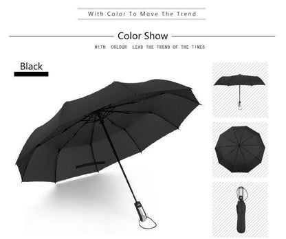 Compact Auto Open Close Waterproof Umbrella