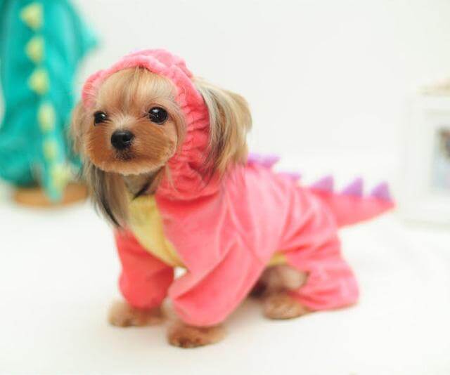 Fesara | Funny Police Pet Costume