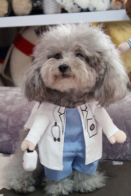 Fesara | Funny Police Pet Costume