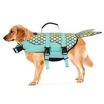 Fun Pet Dog Life Jacket