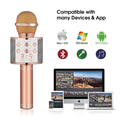 Portable Bluetooth Karaoke Mic