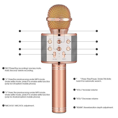 Portable Bluetooth Karaoke Mic