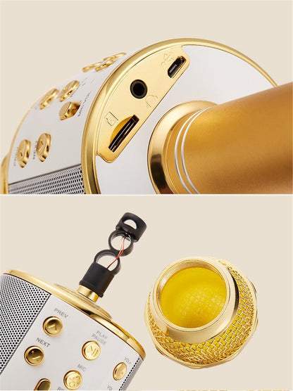 Portable Bluetooth Karaoke Mic