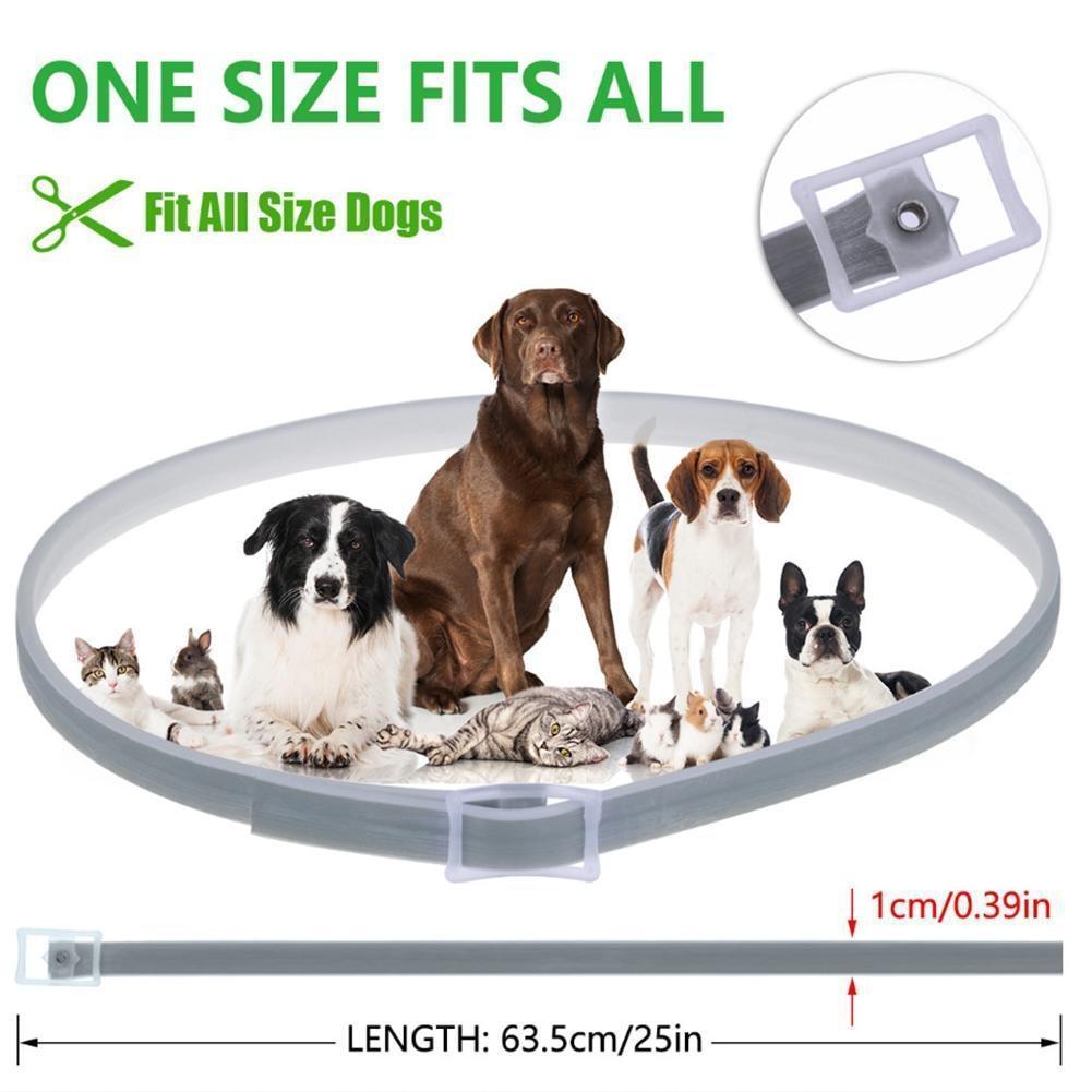 Fesara | Pest Control Dog Collar for Fleas and Ticks