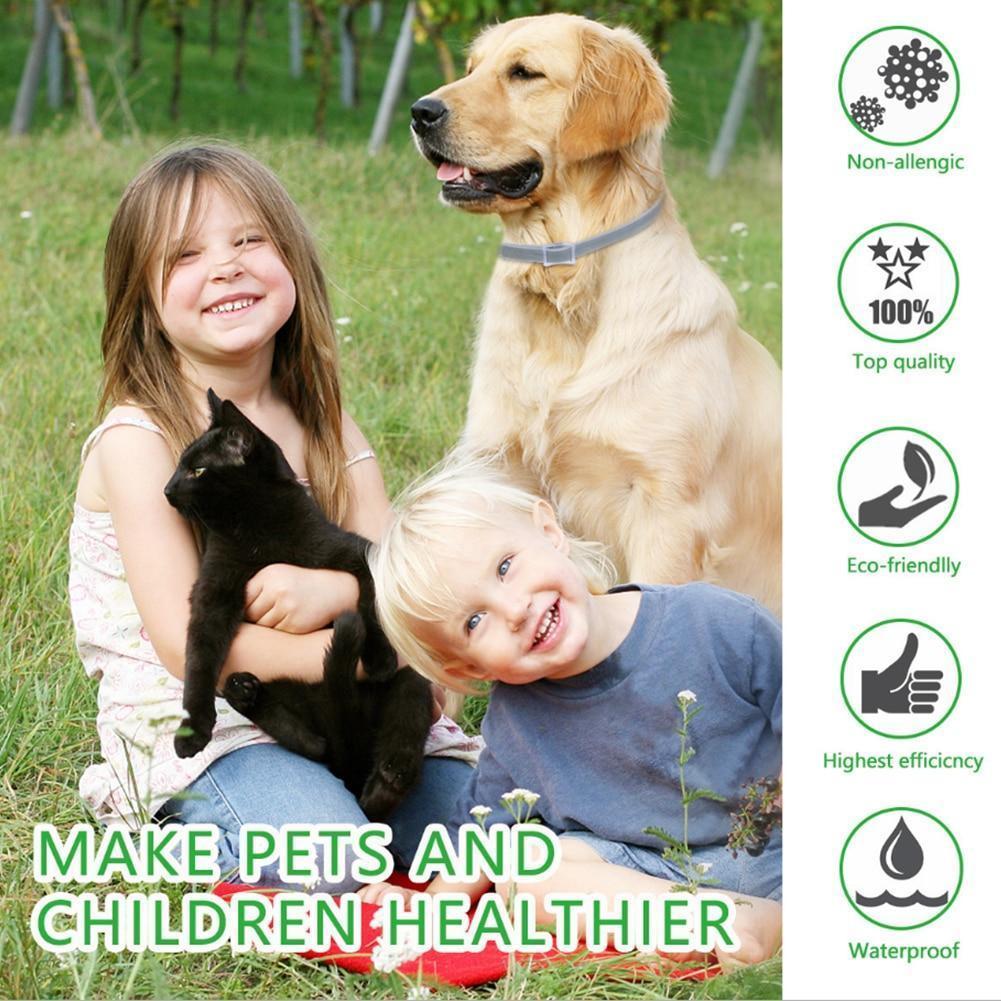 Fesara | Pest Control Dog Collar for Fleas and Ticks