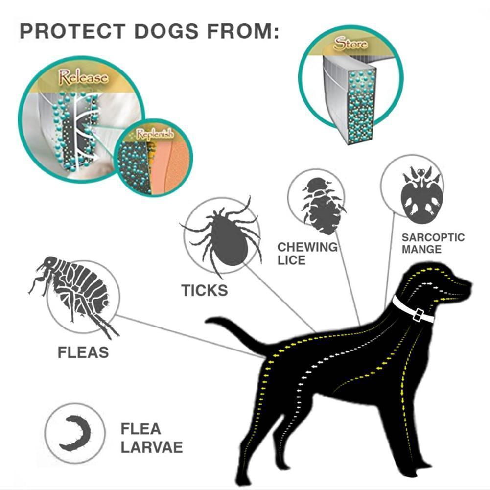 Fesara | Pest Control Dog Collar for Fleas and Ticks