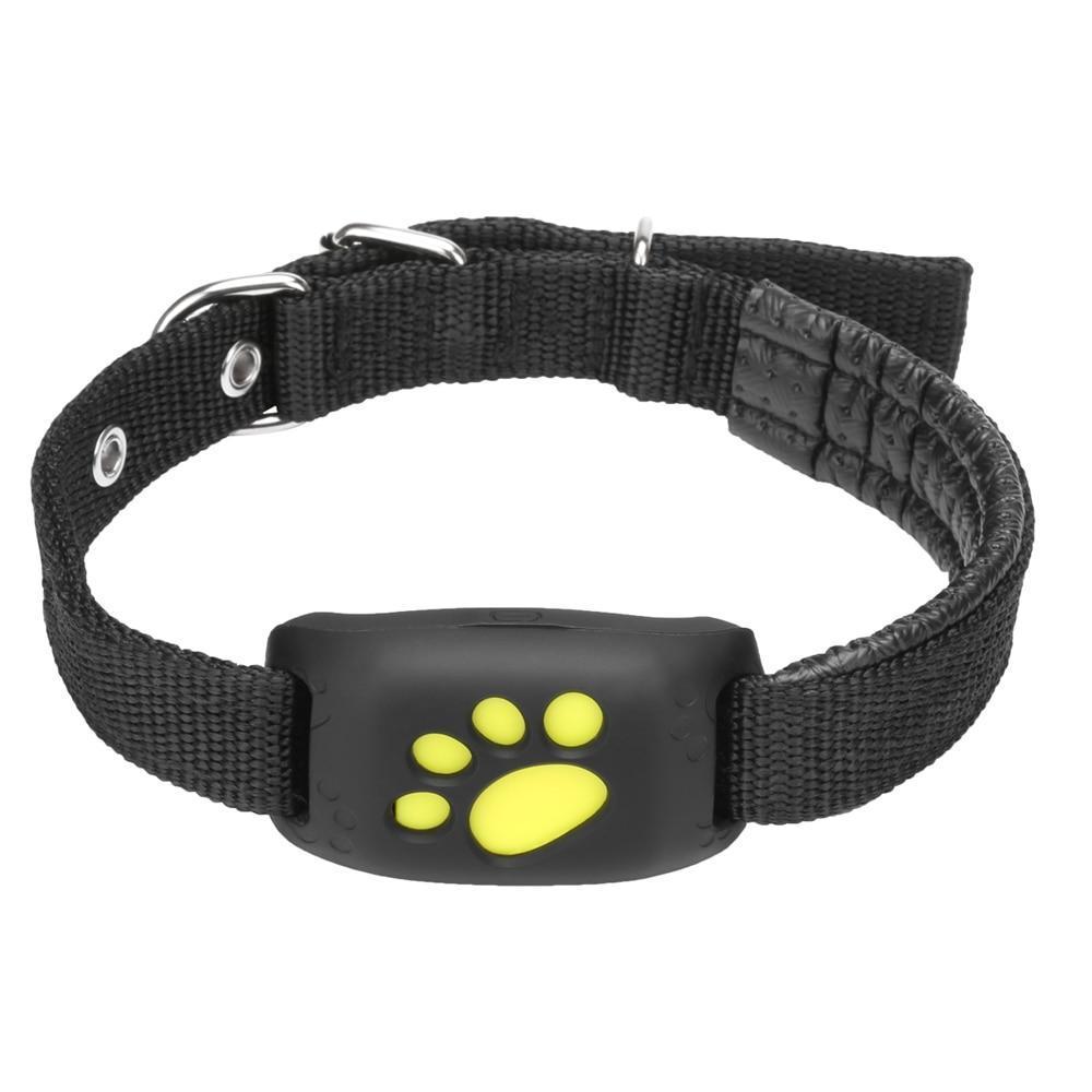 Pet GPS Tracking Dog Collar
