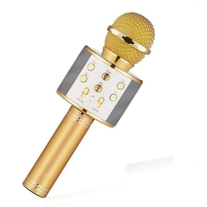 Portable Bluetooth Karaoke Mic