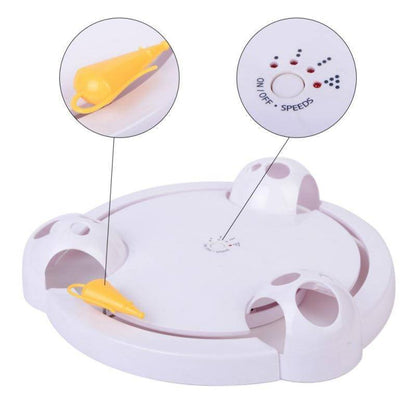 Fun Pet Toy - Auto Spinning Mouse Chase Game